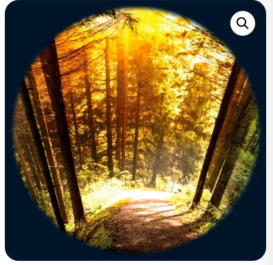 Optikinetics SEASONED WOODS FG7091